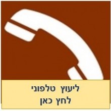 יעוץ טלפוני