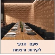 שעם לבידוד תרמי ואקוסטי