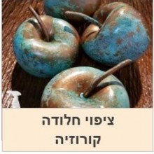 ציפוי חלודה ,ציפוי קורוזיה