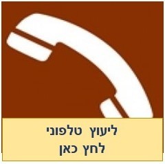 יעוץ טלפוני