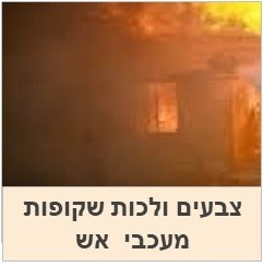 צבעים ולכות מעכבי אש