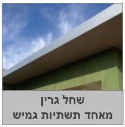 שחל גרין מרסן סדיקה, גמיש בסיס גומי