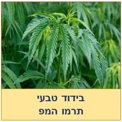 קומבי המפ -בידוד טבעי מצמחי קנבוס ויוטה