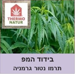 תרמו המפ